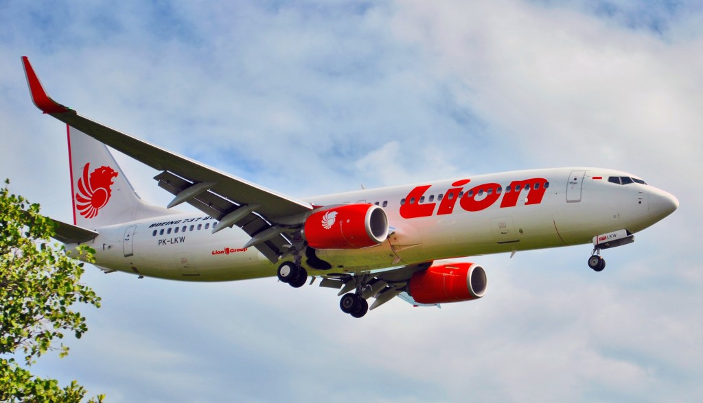 Lion Air Wiki photo