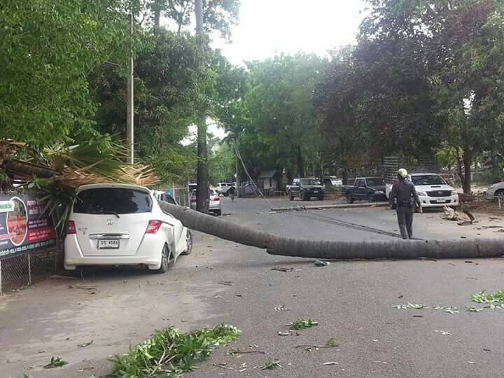 crushed car