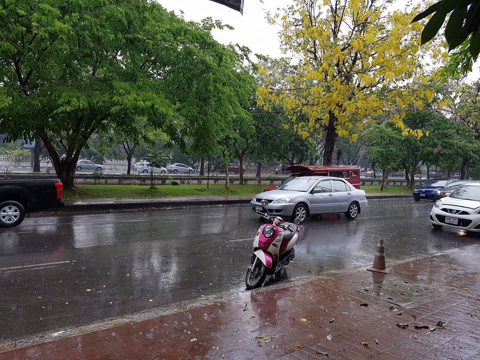 ฝนถล่ม (3)